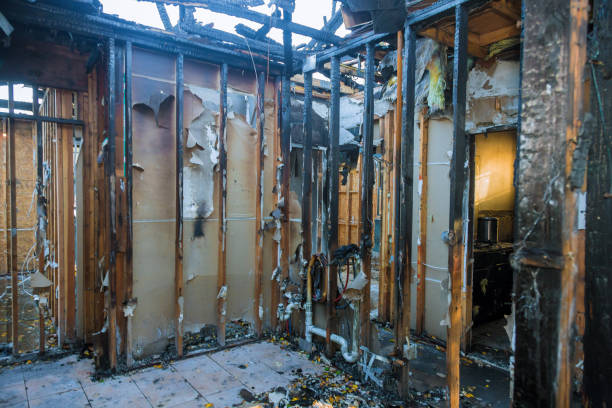 Professional Fire Damage Removal technician working in Mosheim, TN